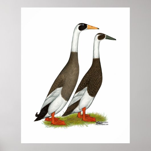 Enten: aufgeblasene Läufer Poster (Vorne)