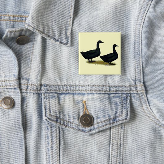 Enten:  Black Cayugas Button (Beispiel)