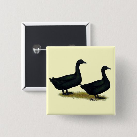 Enten:  Black Cayugas Button (Vorne & Hinten)