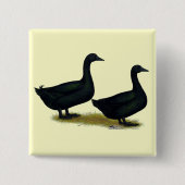 Enten:  Black Cayugas Button (Vorderseite)