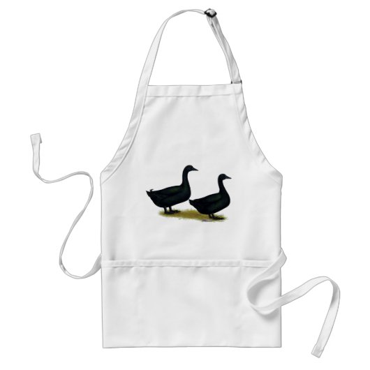 Enten:  Black Cayugas Schürze (Vorne)