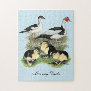 Enten Black Pied Muscovy Familie Puzzle