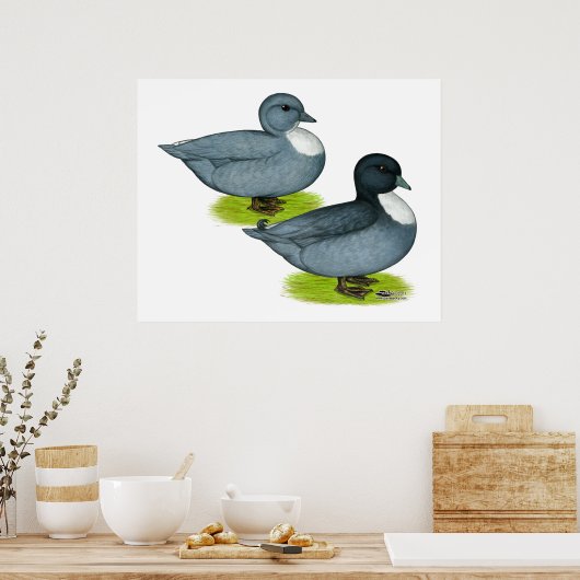 Enten: Blaue Anrufe Poster (Küche)
