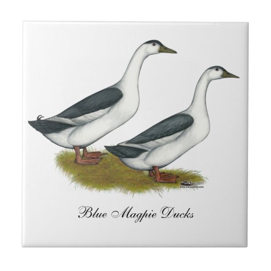 Enten: Blue Magpies Fliese (Vorderseite)