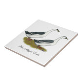 Enten: Blue Magpies Fliese (Seite)