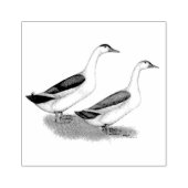Enten: Blue Magpies Gummistempel (Prägung)