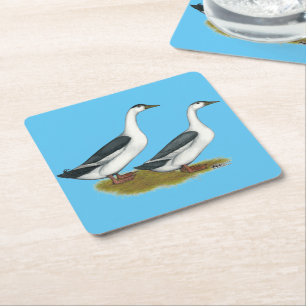Enten: Blue Magpies Rechteckiger Pappuntersetzer