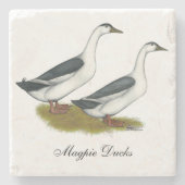 Enten: Blue Magpies Steinuntersetzer (Vorderseite)