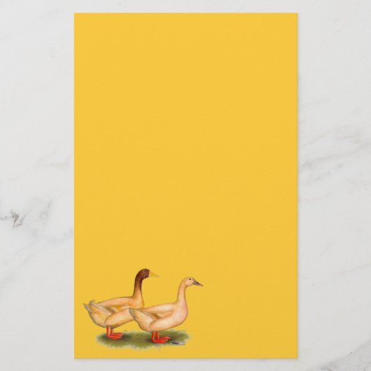 Enten: Buff Orpington Briefpapier (Vorderseite)