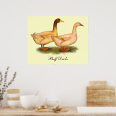 Enten: Buff Orpington Poster (Küche)