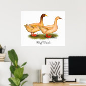 Enten: Buff Orpington Poster (Heimbüro)
