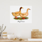 Enten: Buff Orpington Poster (Küche)