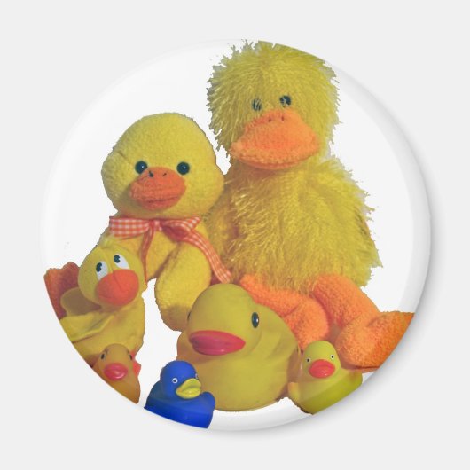 Enten buncha magnet (Vorne)