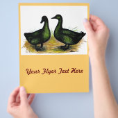 Enten: Cayuga Pair Flyer (Hand)