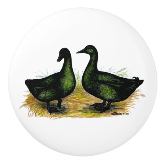 Enten: Cayuga Pair Keramikknauf (Vorderseite)