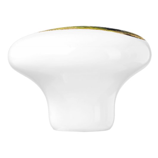 Enten: Cayuga Pair Keramikknauf (Seitenansicht)