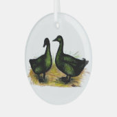 Enten: Cayuga Pair Ornament Aus Glas (Vorderseite links)