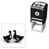 Enten: Cayuga Pair Permastempel (Beispiel)