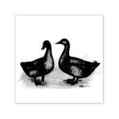 Enten: Cayuga Pair Permastempel (Design)