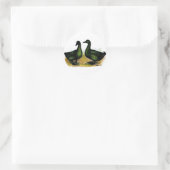 Enten: Cayuga Pair Runder Aufkleber (Tasche)