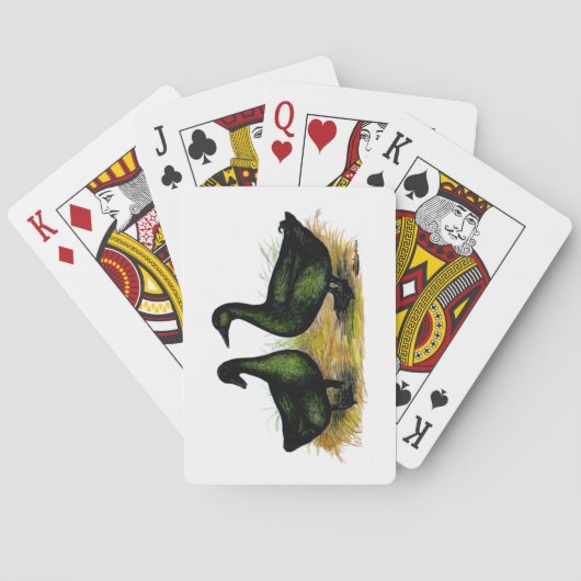 Enten: Cayuga Pair Spielkarten (Rückseite)