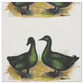 Enten: Cayuga Pair Stoff (Muster)