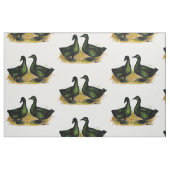 Enten: Cayuga Pair Stoff (Fat Quarter (45,7 x 55,9 cm))