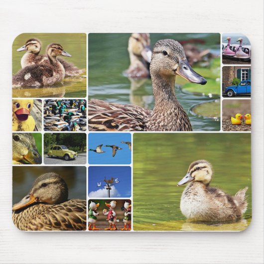 Enten-Collagen-Foto Mousepad (Vorne)