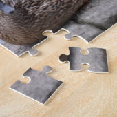 Enten durch die Wasservogelfotografie Puzzle (Seite)