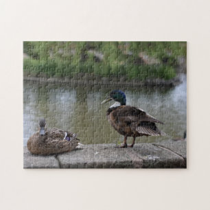 Enten durch die Wasservogelfotografie Puzzle