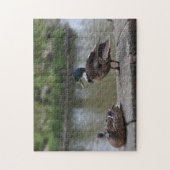 Enten durch die Wasservogelfotografie Puzzle (Vertikal)