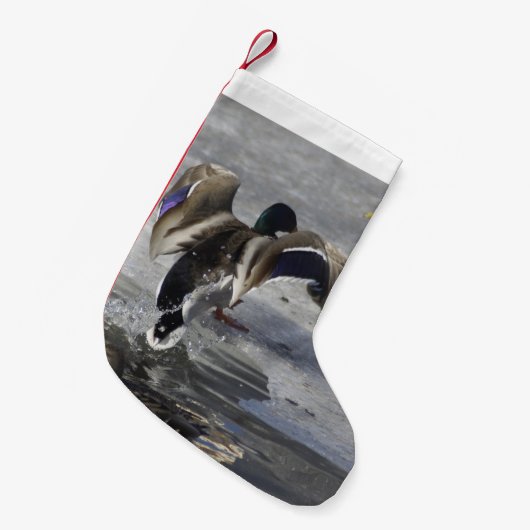 Enten-Feiertags-Strumpf Kleiner Weihnachtsstrumpf (Vorderansicht (hängend))