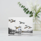 Enten fliegen postkarte (Stehend Vorderseite)