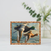 Enten-Flugpostkarte Postkarte (Stehend Vorderseite)