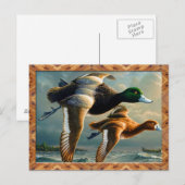 Enten-Flugpostkarte Postkarte (Vorne/Hinten)