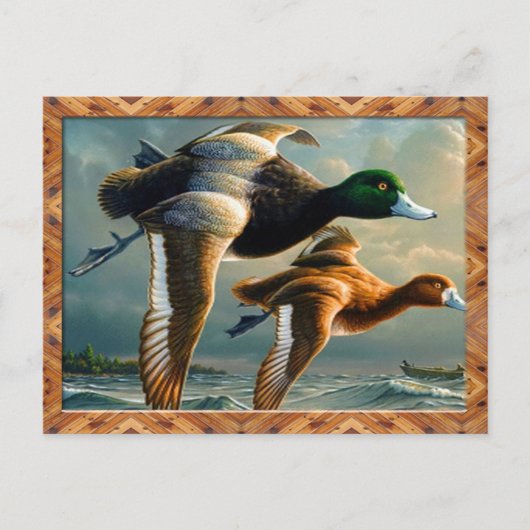 Enten-Flugpostkarte Postkarte (Vorderseite)