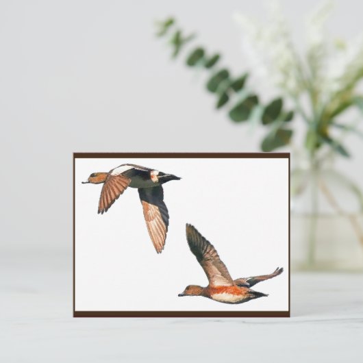 Enten Flying Postcard Postkarte (Stehend Vorderseite)