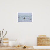 Enten-Foto-Plakat Poster (Küche)