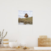 Enten-Foto-Poster Poster (Küche)