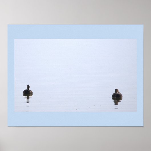 Enten-Foto-Poster Poster (Vorne)