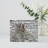 Enten-Foto Postkarte (Stehend Vorderseite)