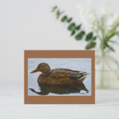 Enten-Foto Postkarte (Stehend Vorderseite)