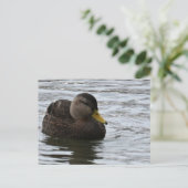 Enten-Foto Postkarte (Stehend Vorderseite)