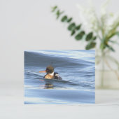 Enten-Foto-Postkarte Postkarte (Stehend Vorderseite)