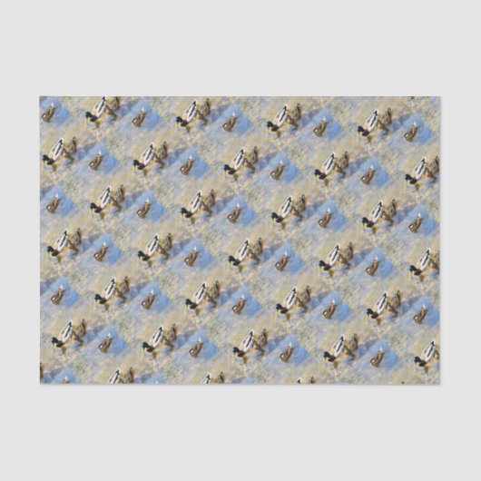 Enten-Foto Seidenpapier (Vorderseite)