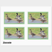 Enten Foto Stickers (Blatt)