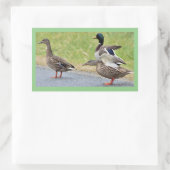 Enten Foto Stickers (Tasche)