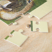 Enten, Gänse und Schwäne Puzzle (Seite)