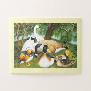 Enten, Gänse und Schwäne Puzzle