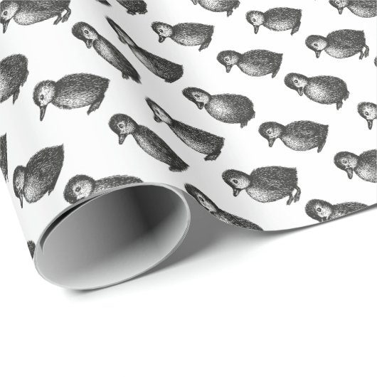 Enten Geschenkpapier (Rolleneckpunkt)